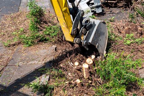 mini digger bush removal|blackberry bush removal.